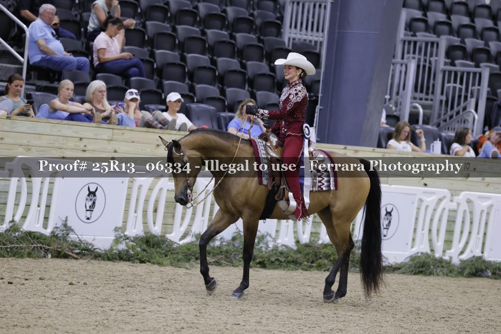 Proof 25R13_06334
