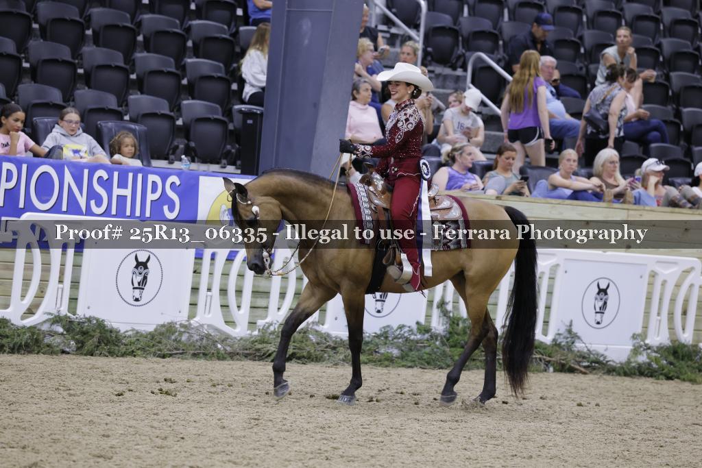 Proof 25R13_06335