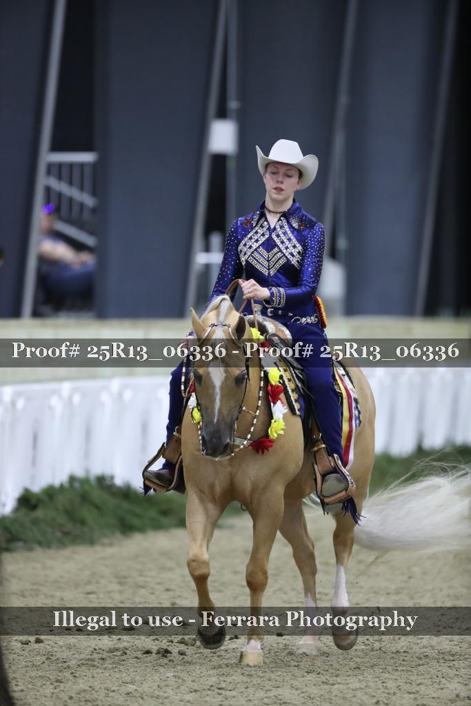 Proof 25R13_06336