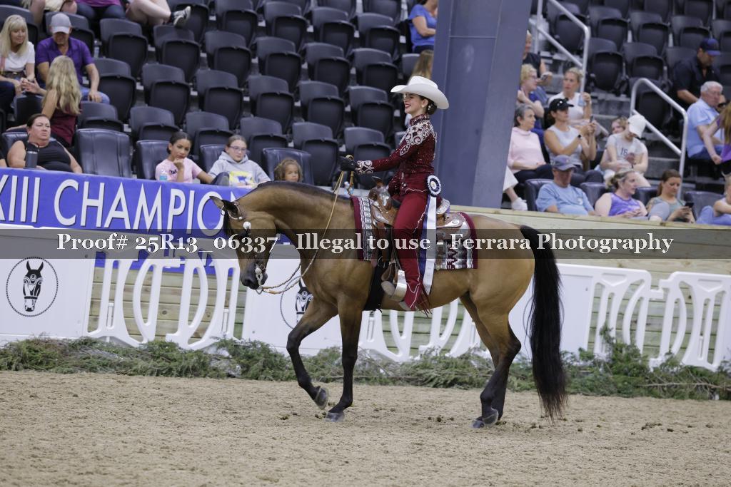 Proof 25R13_06337
