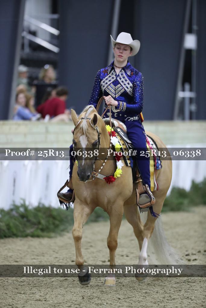 Proof 25R13_06338
