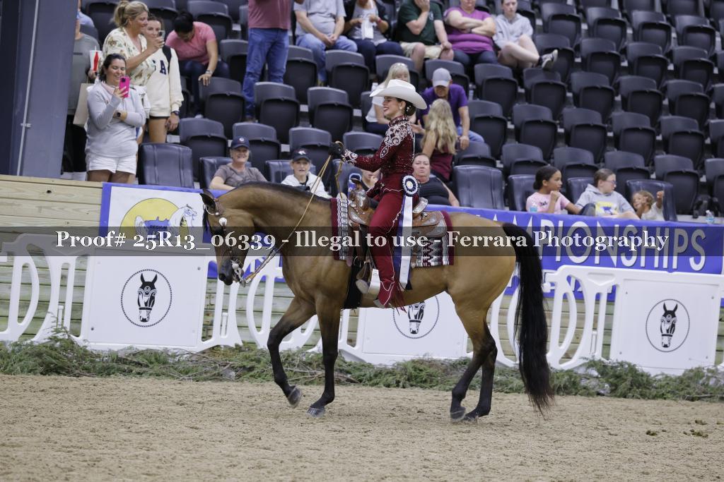 Proof 25R13_06339