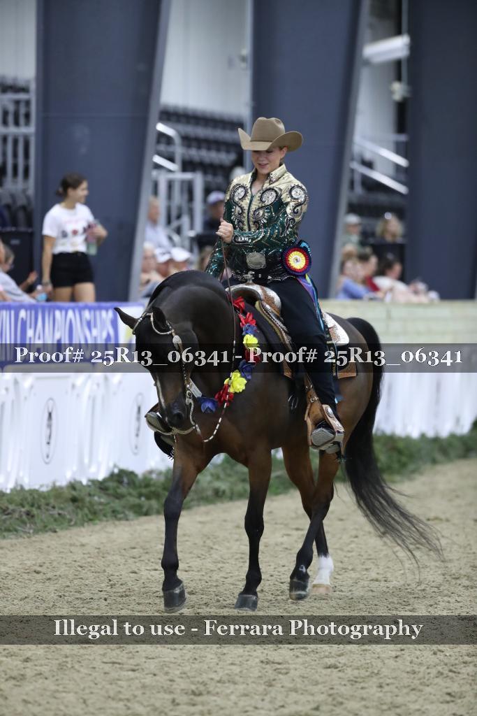 Proof 25R13_06341