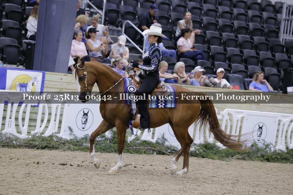 Proof 25R13_06342