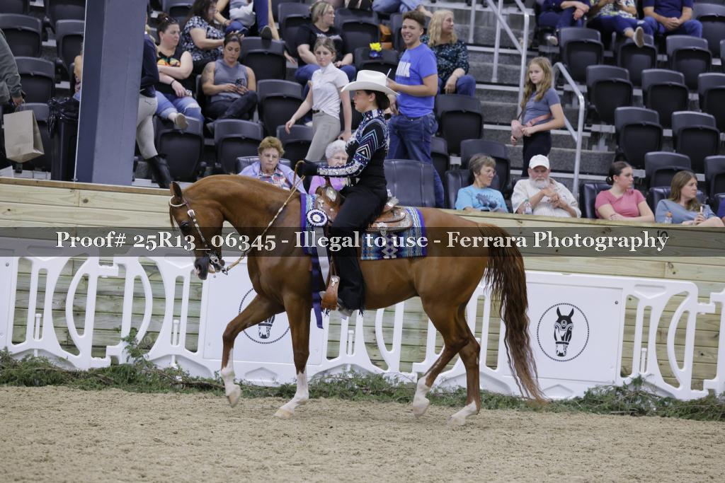 Proof 25R13_06345