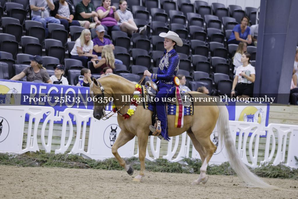 Proof 25R13_06350