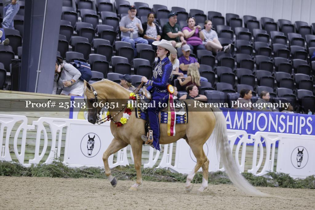 Proof 25R13_06351