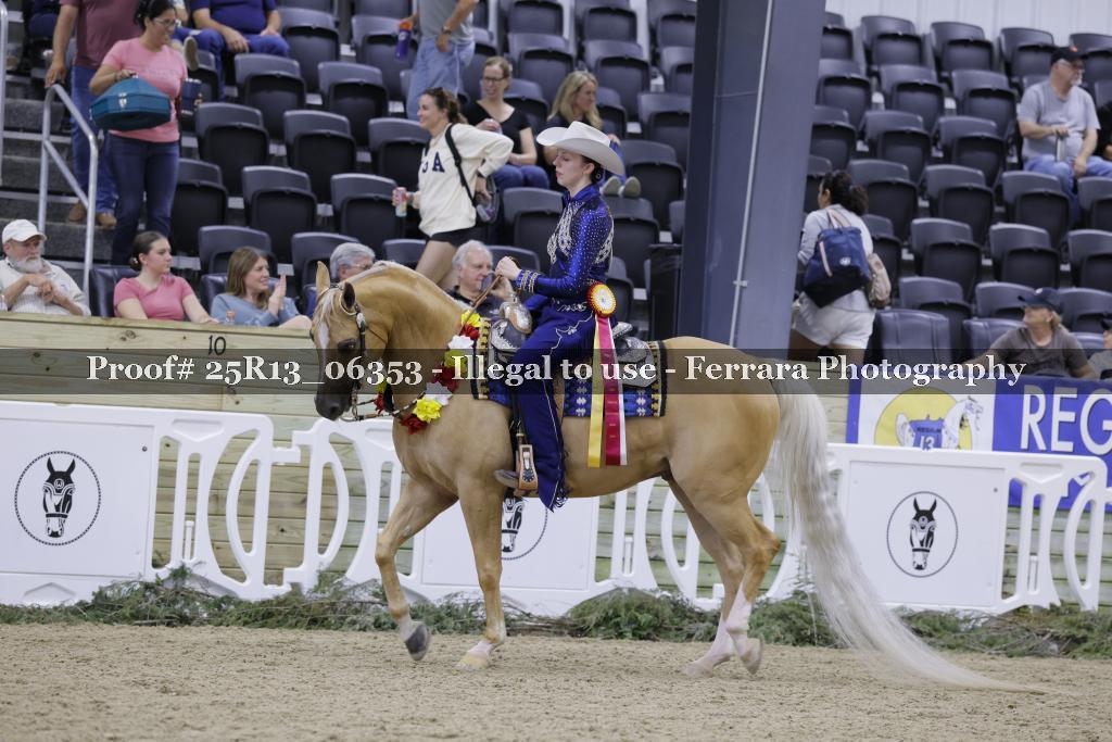 Proof 25R13_06353