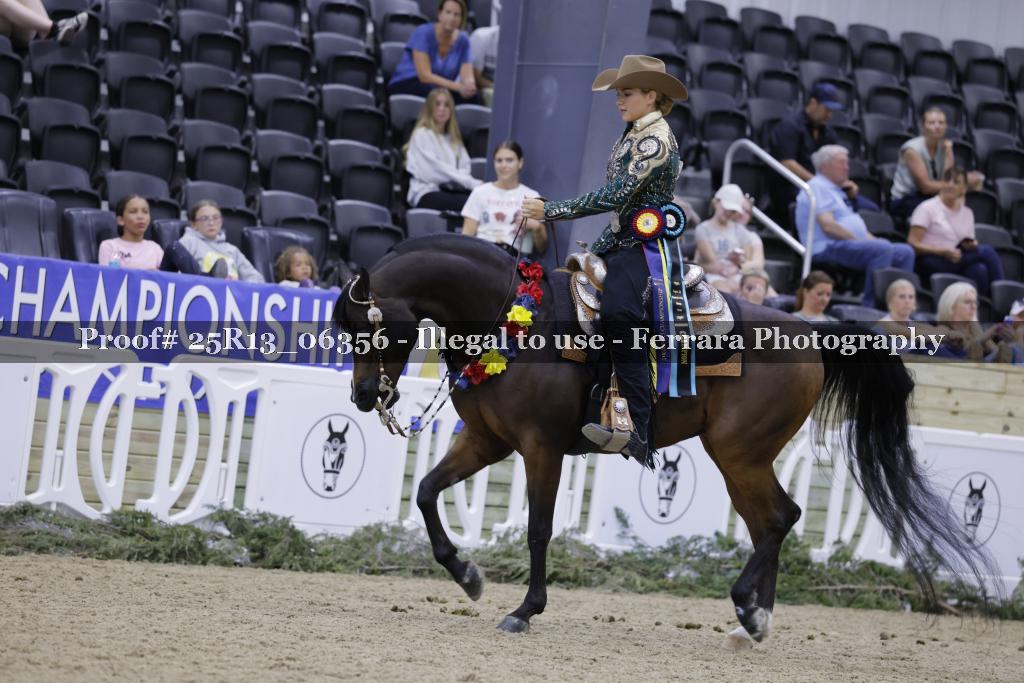 Proof 25R13_06356
