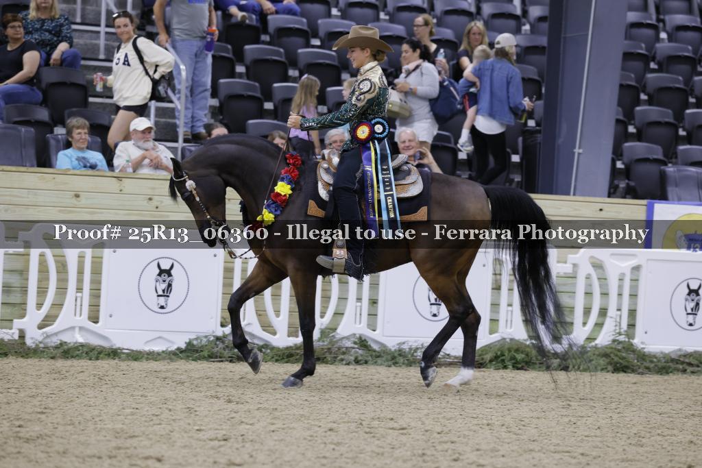 Proof 25R13_06360