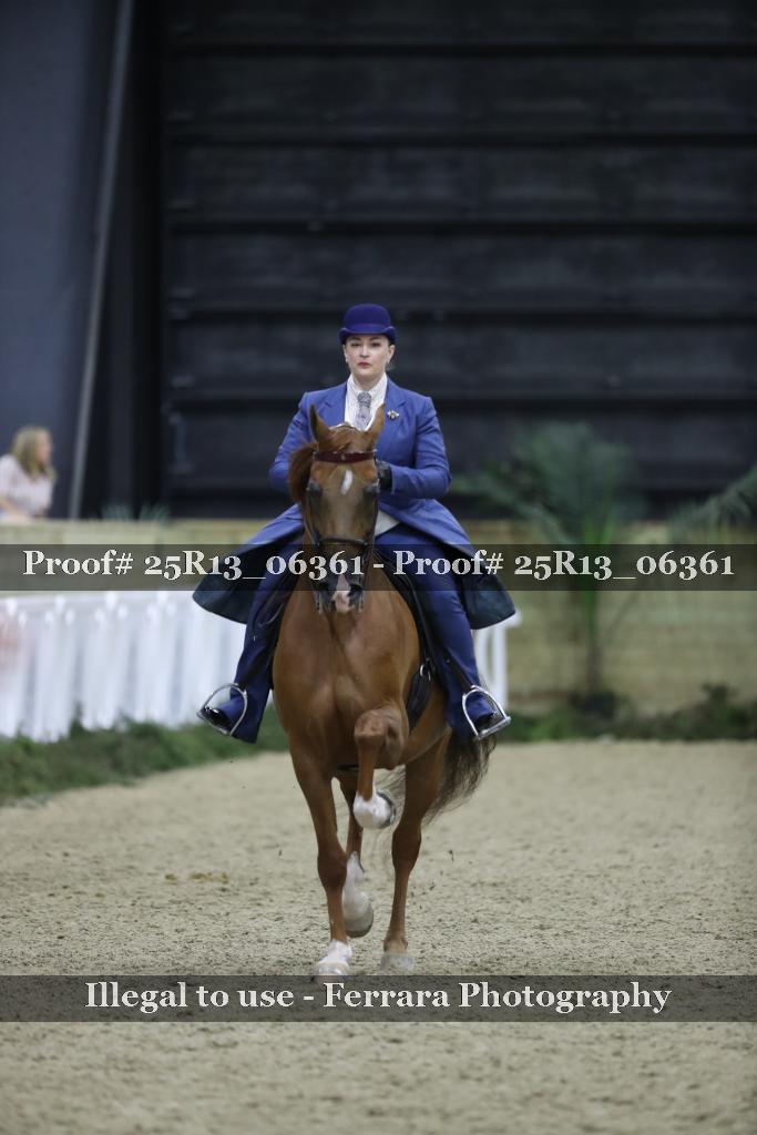 Proof 25R13_06361