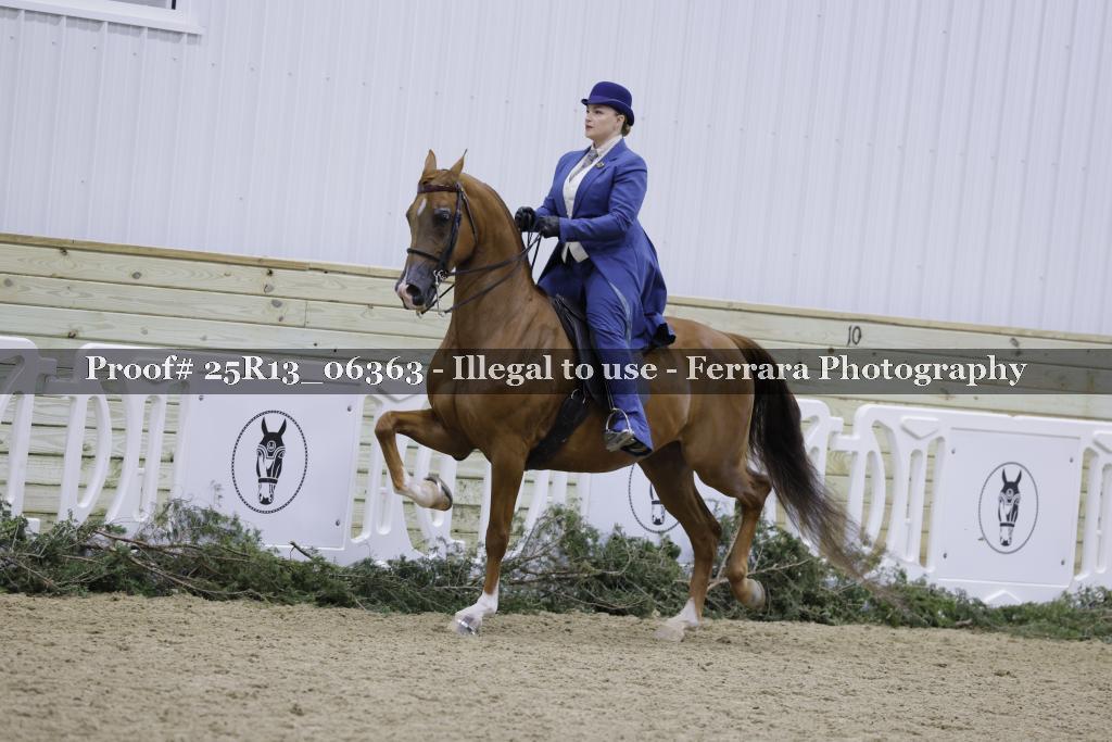 Proof 25R13_06363