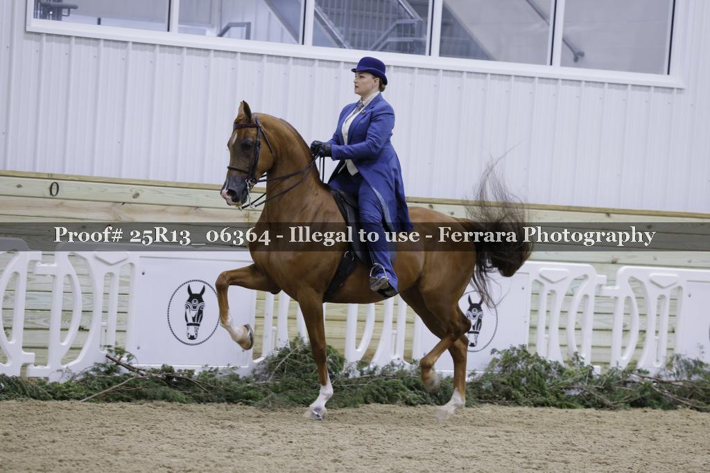 Proof 25R13_06364