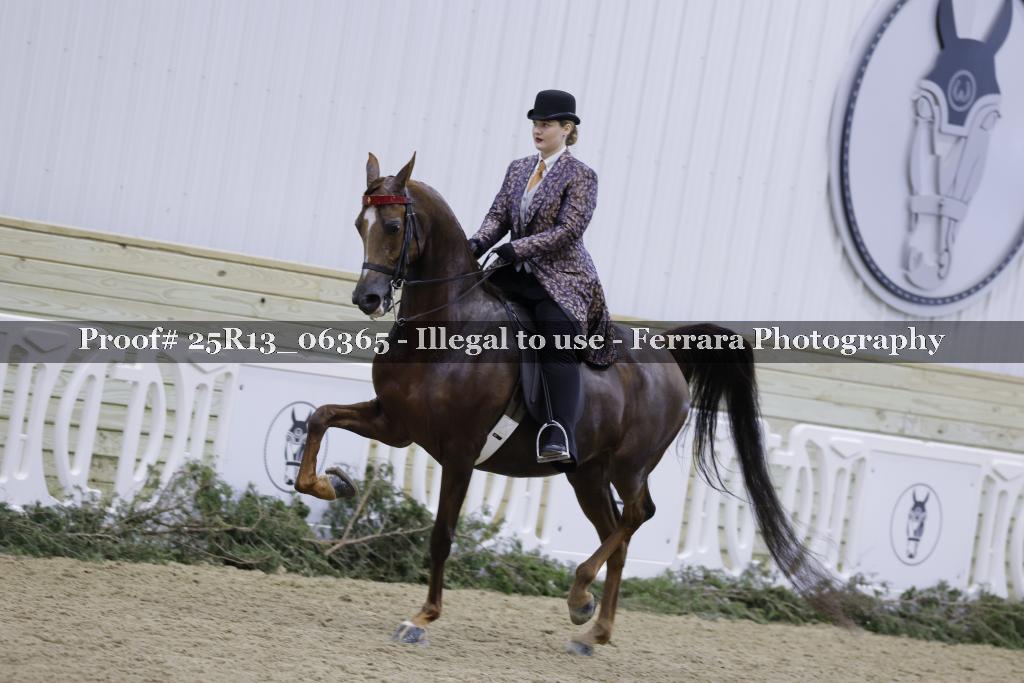 Proof 25R13_06365