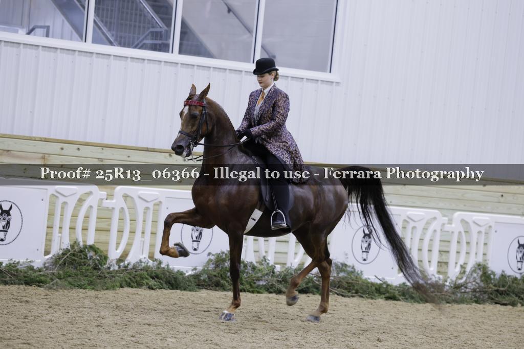 Proof 25R13_06366