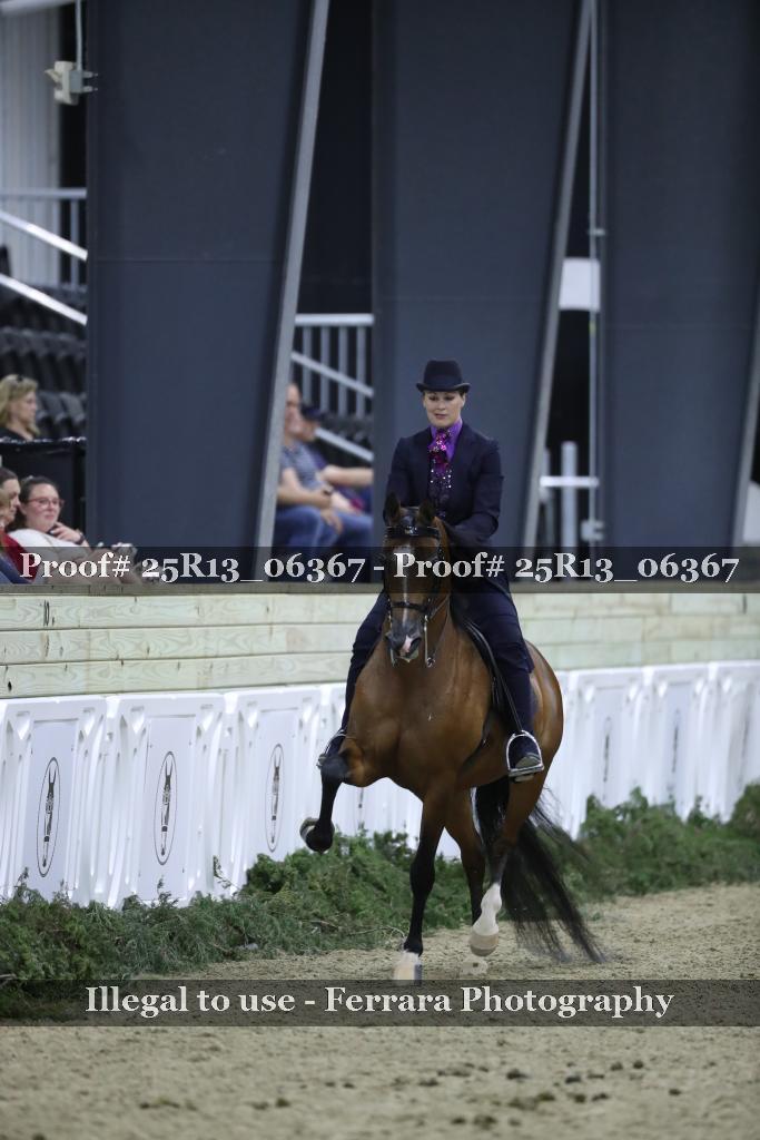 Proof 25R13_06367