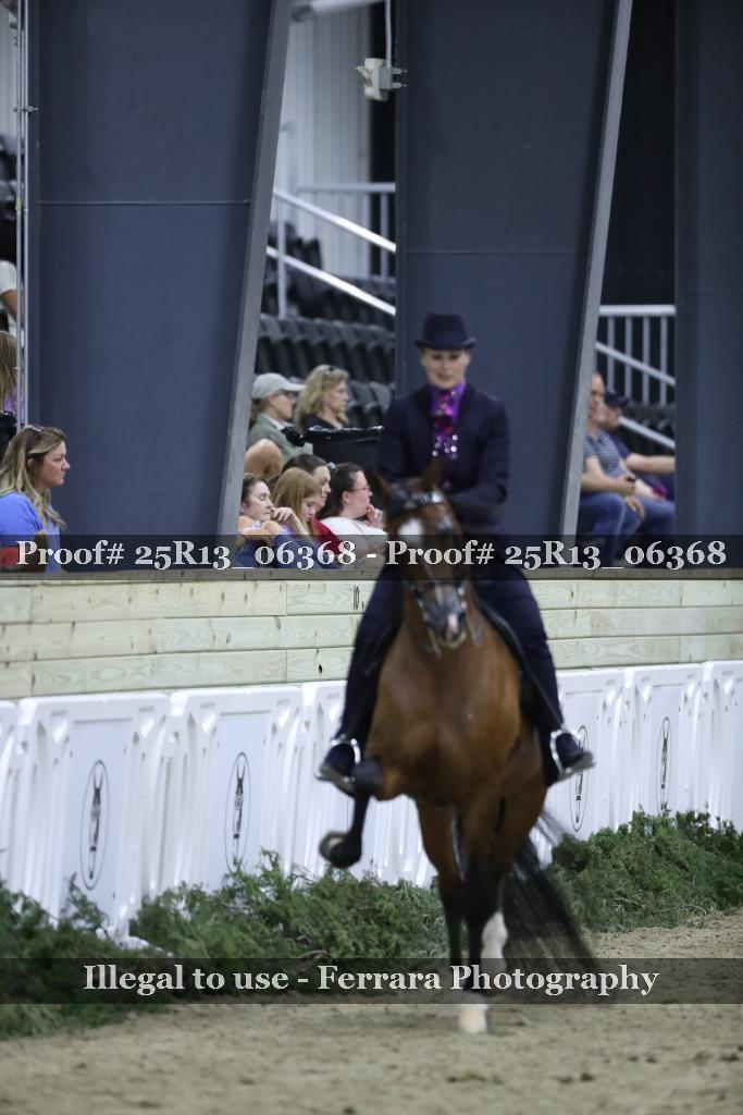 Proof 25R13_06368