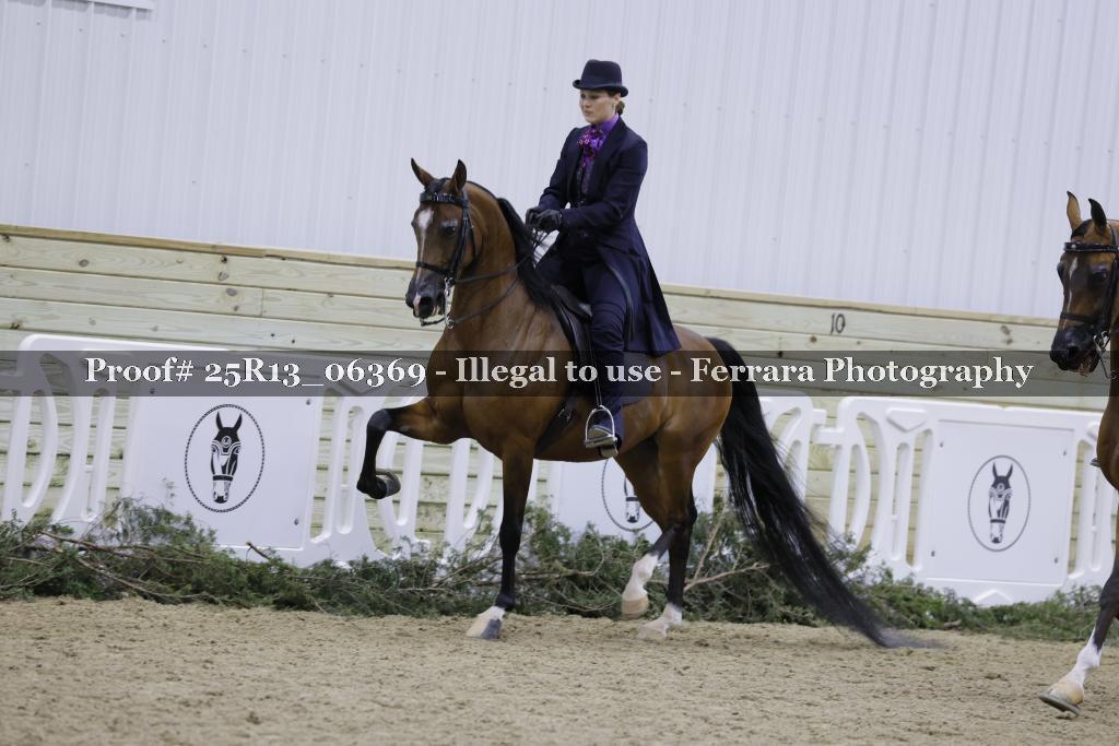 Proof 25R13_06369