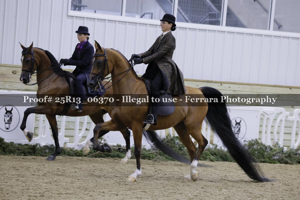 Proof 25R13_06370