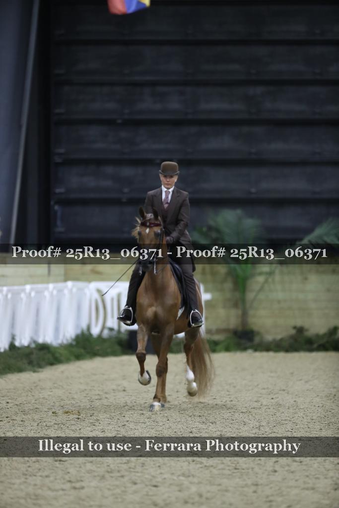 Proof 25R13_06371
