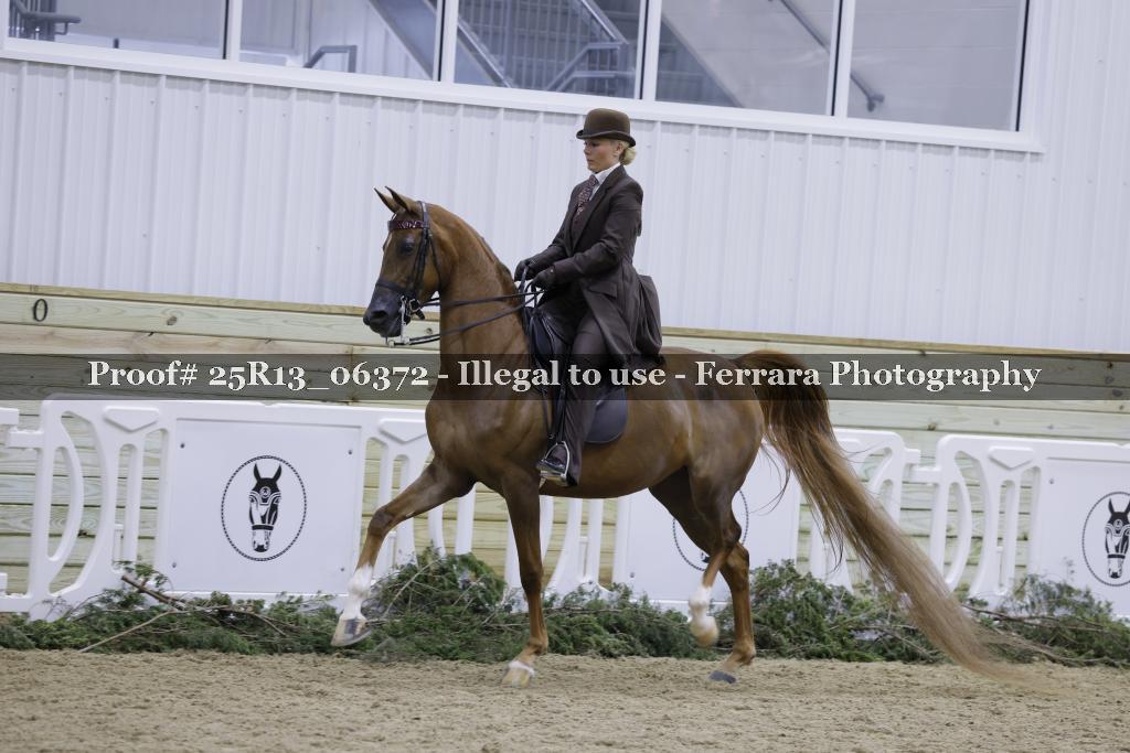 Proof 25R13_06372