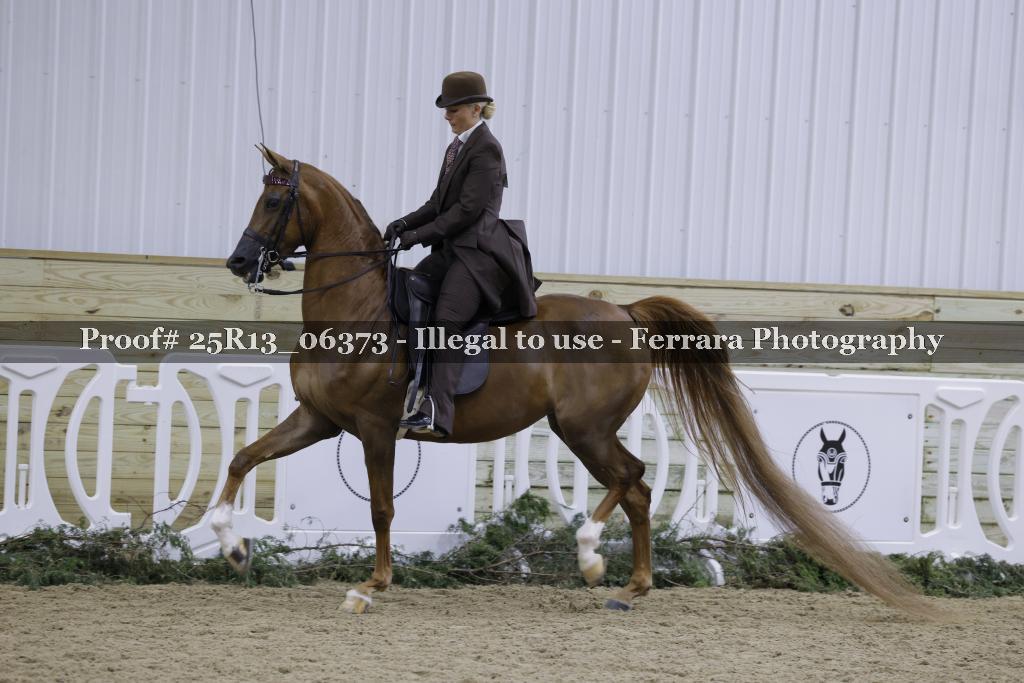 Proof 25R13_06373