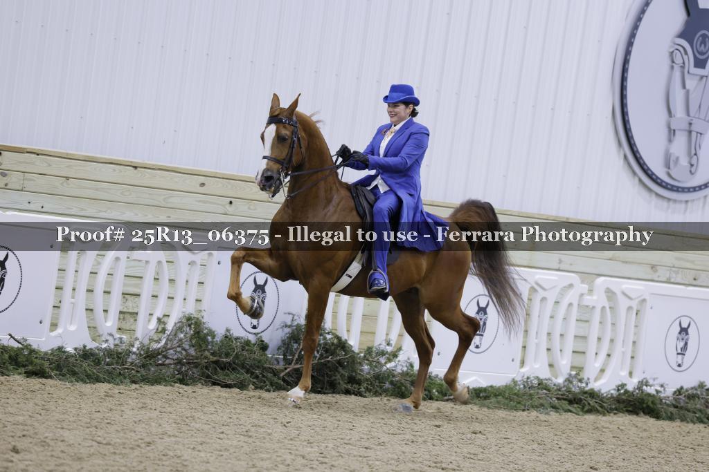 Proof 25R13_06375