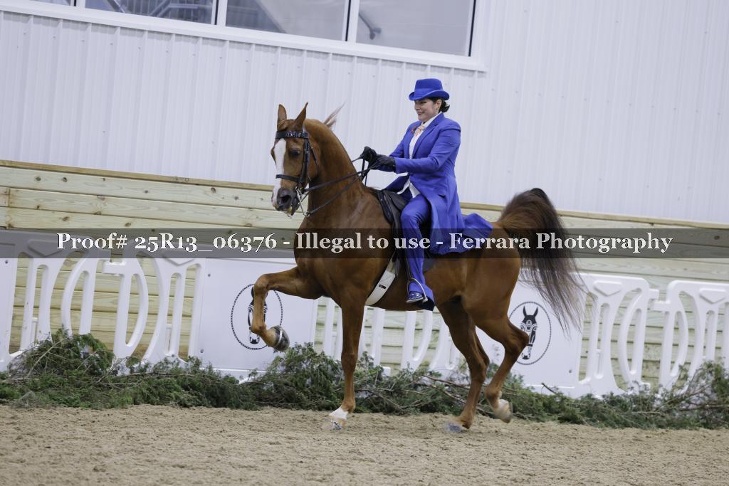 Proof 25R13_06376