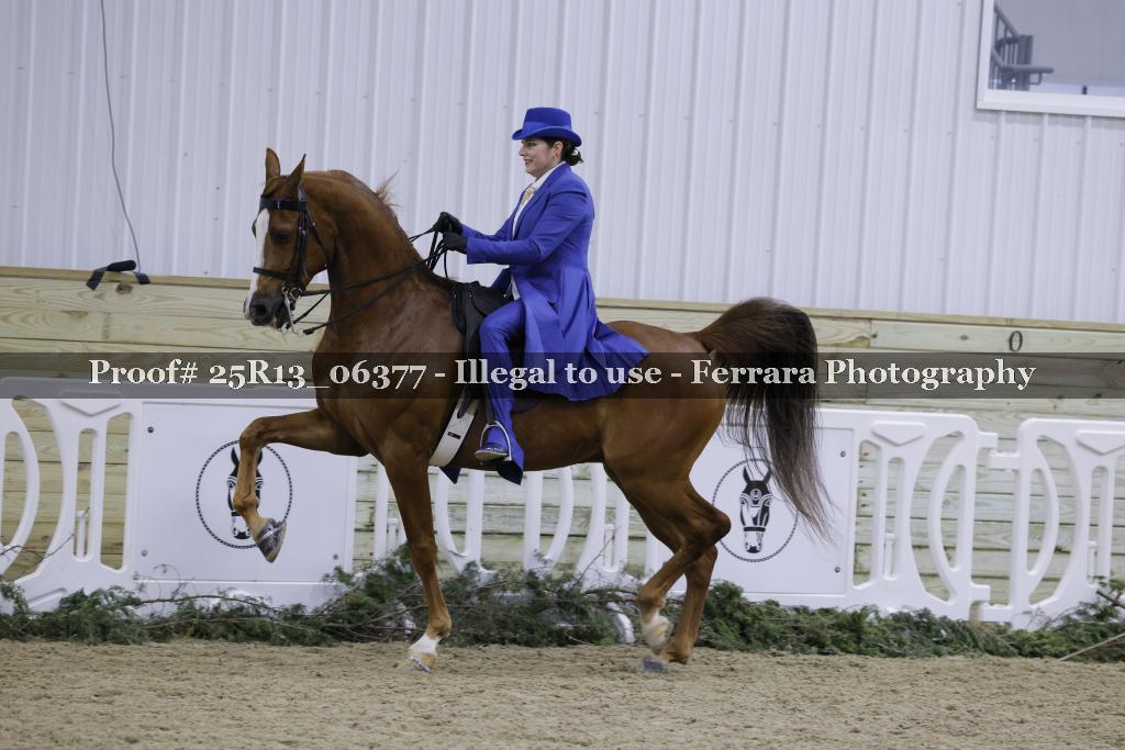 Proof 25R13_06377