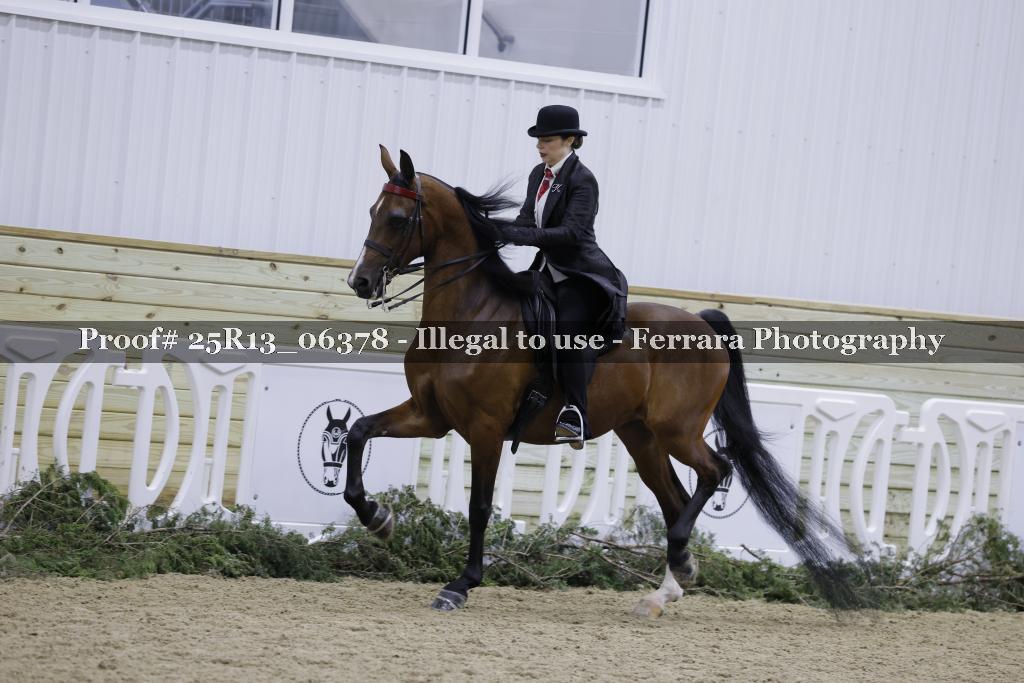 Proof 25R13_06378