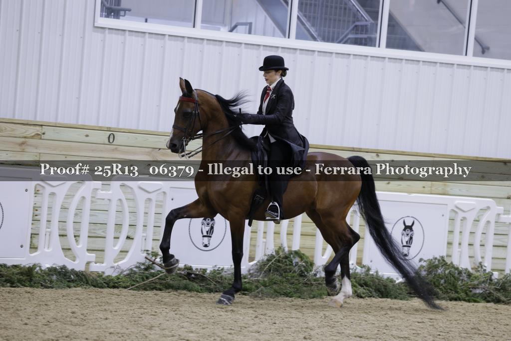 Proof 25R13_06379