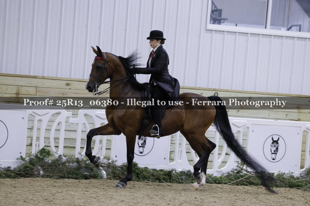 Proof 25R13_06380
