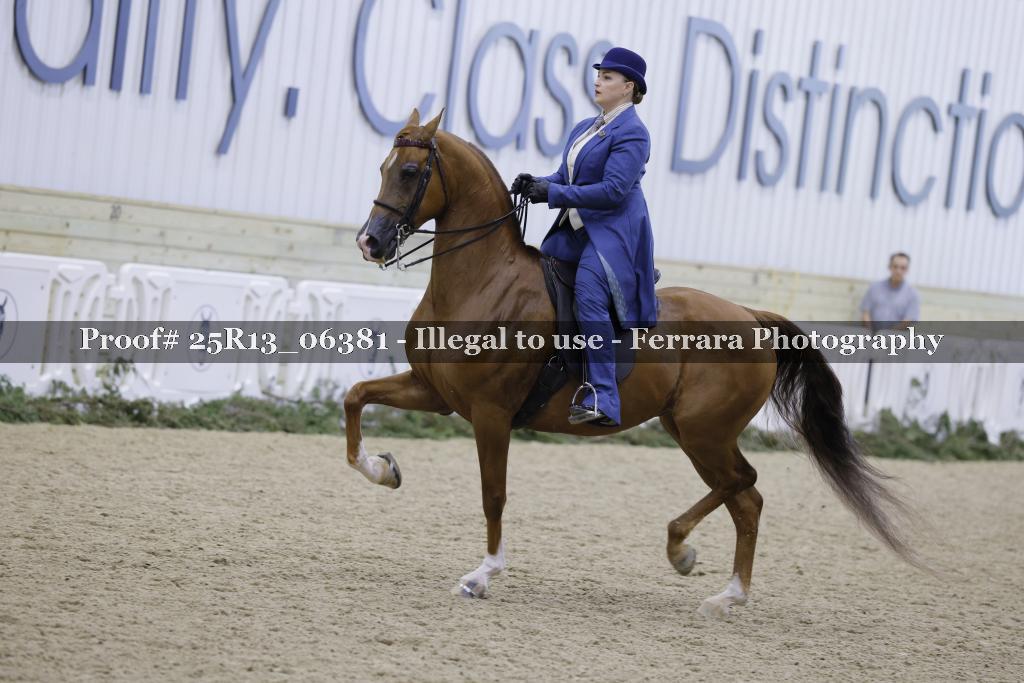 Proof 25R13_06381