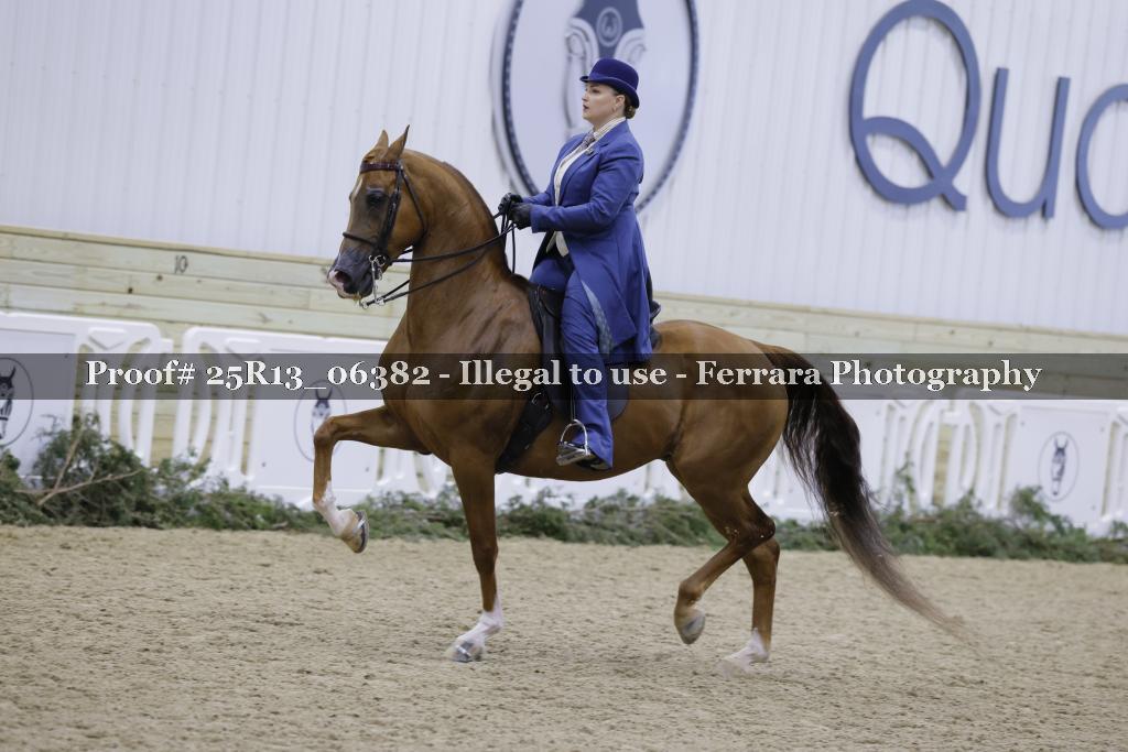 Proof 25R13_06382