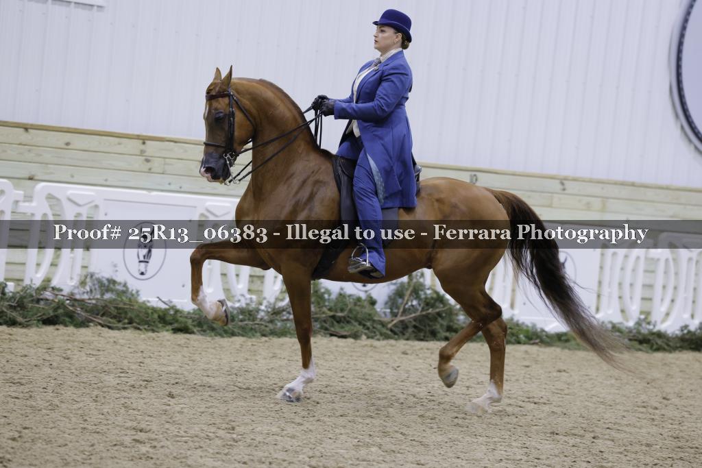 Proof 25R13_06383