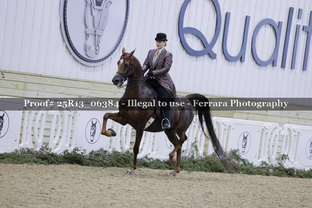 Proof 25R13_06384