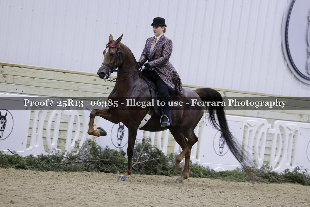 Proof 25R13_06385