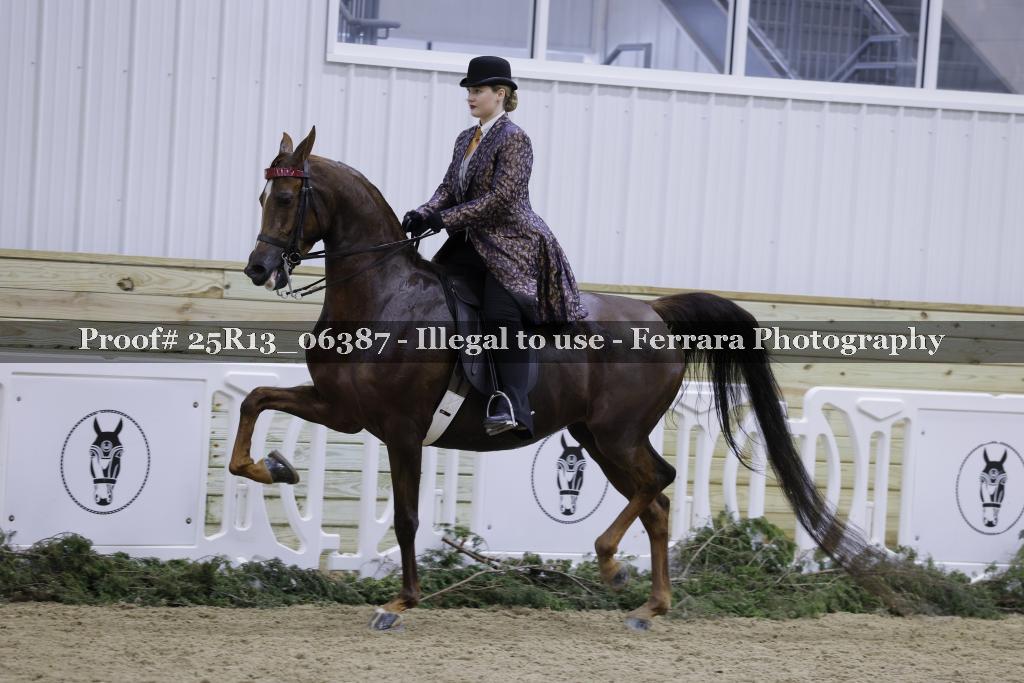 Proof 25R13_06387