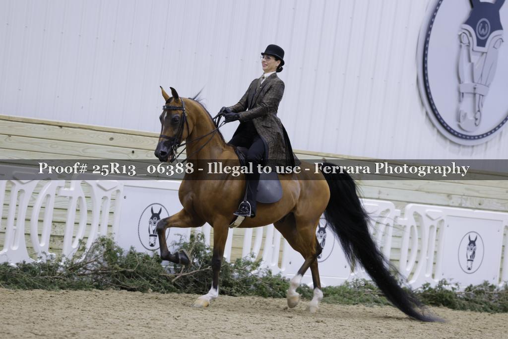 Proof 25R13_06388