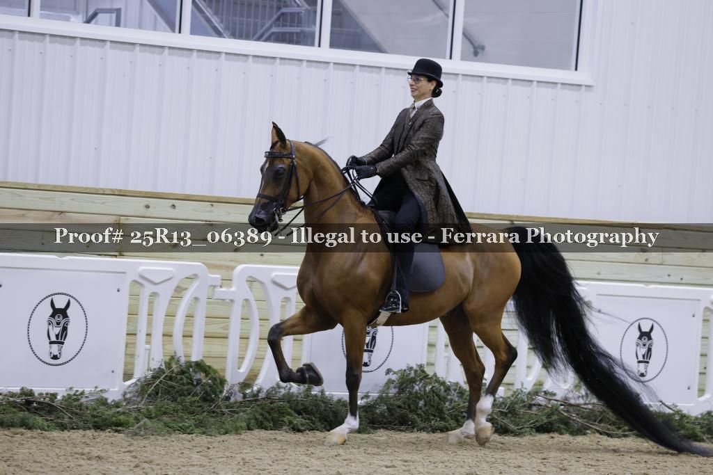 Proof 25R13_06389