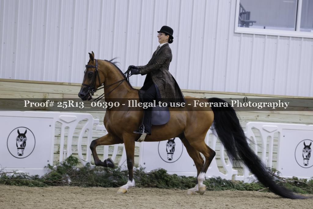 Proof 25R13_06390
