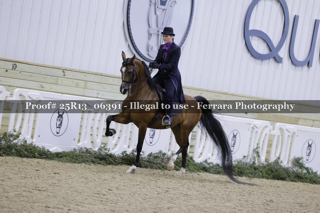 Proof 25R13_06391