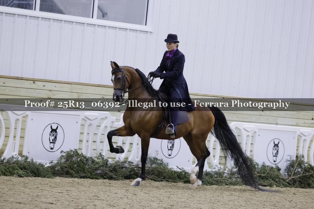 Proof 25R13_06392