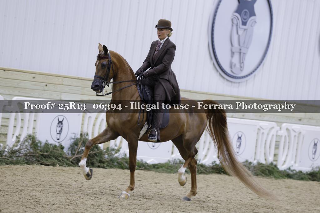 Proof 25R13_06394