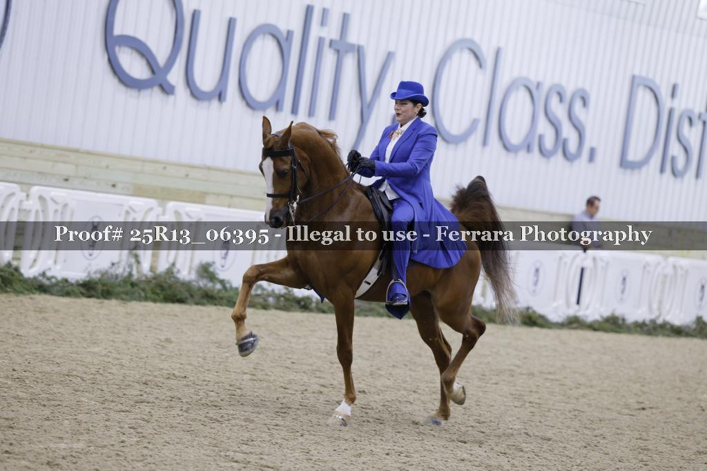 Proof 25R13_06395
