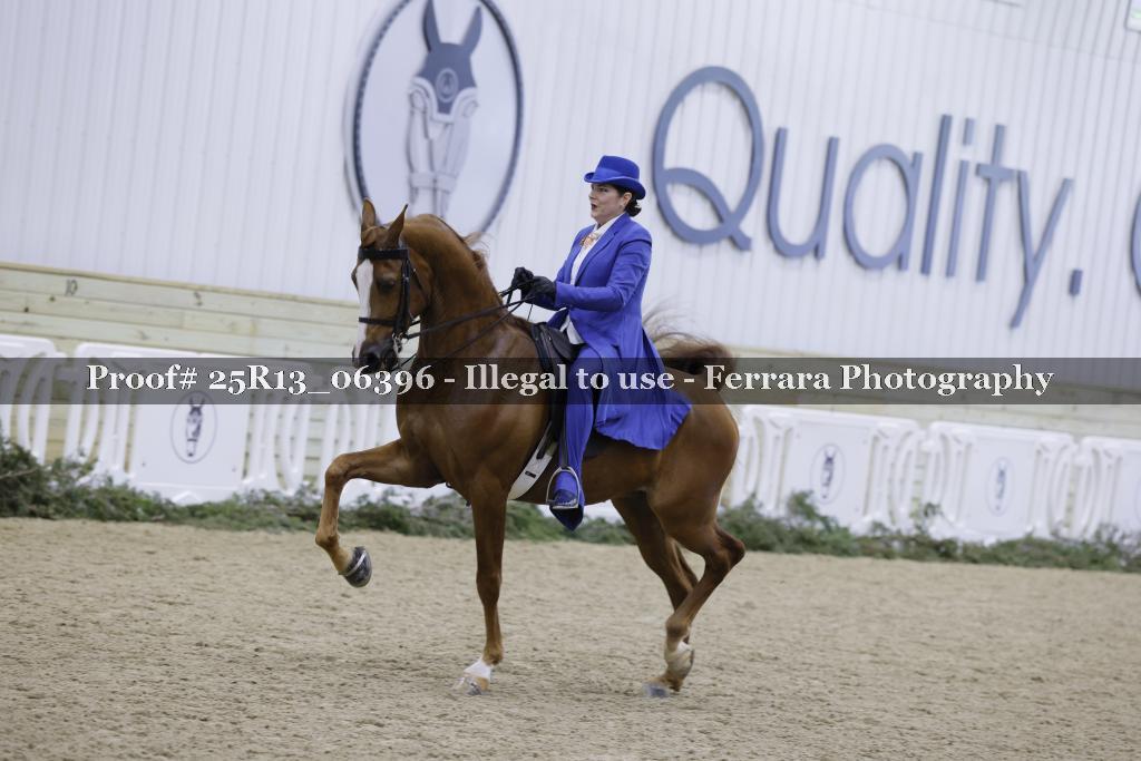 Proof 25R13_06396