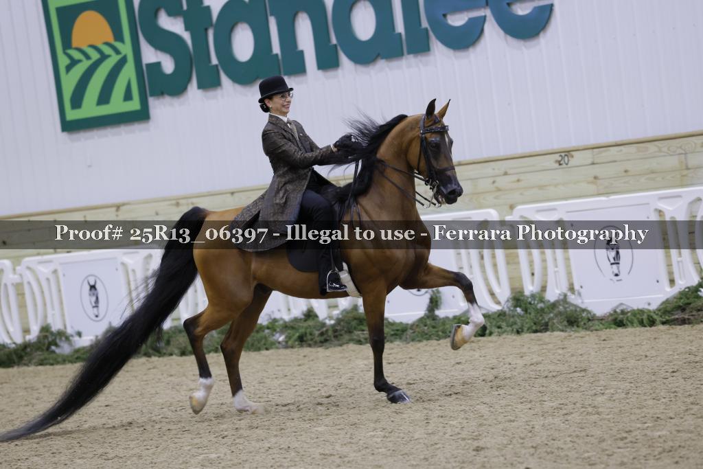 Proof 25R13_06397