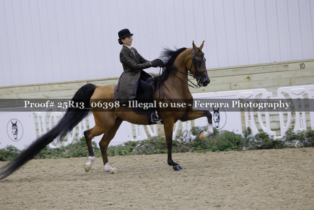 Proof 25R13_06398