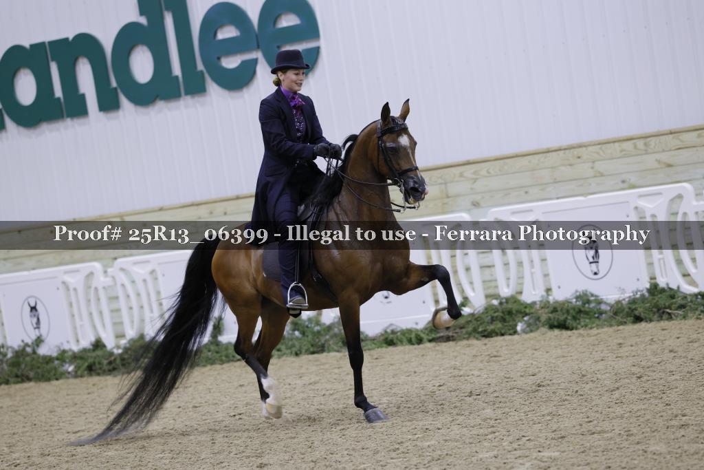 Proof 25R13_06399