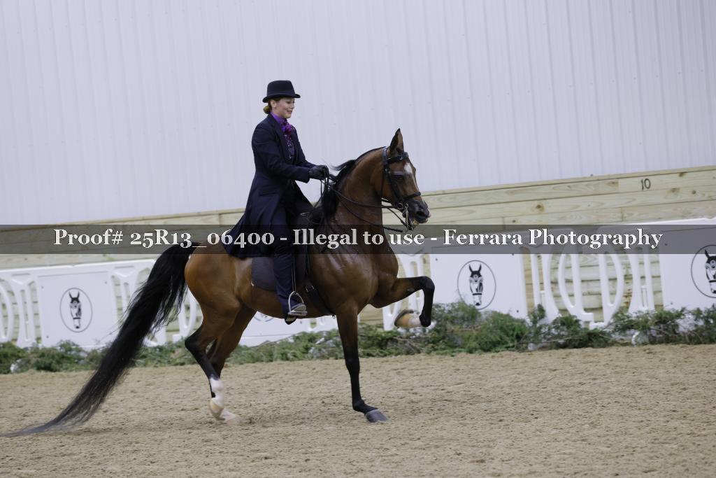 Proof 25R13_06400